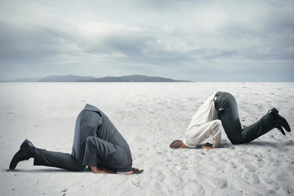 softwaereentwickler_tordovatmedienhaus05